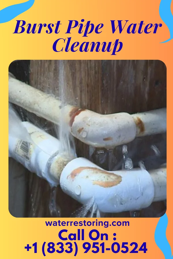 Burst Pipe Water Cleanup in Birchwood Lakes, PA